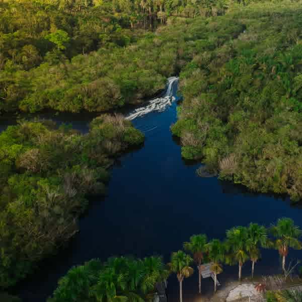Kippelement Amazonas Regenwald, Foto des Amazonas Regenwalds von oben mit Bäumen und Fluss